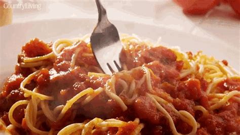 spaghetti gif|funny spaghetti gif.